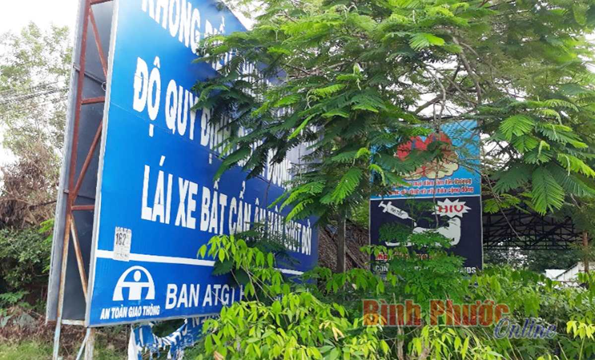 Ảnh phê bình: Lãng phí