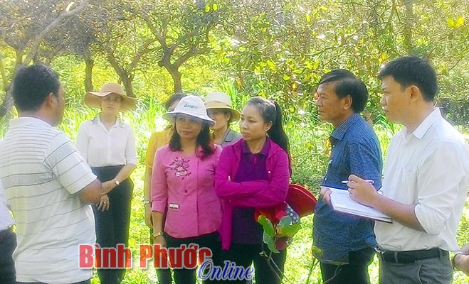 lanhdao20092017090215.jpg