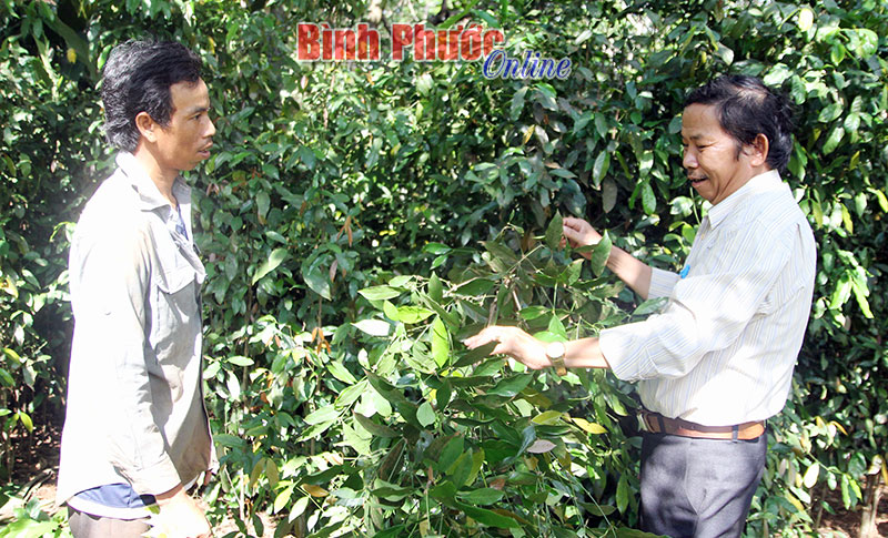 lanhip.jpg