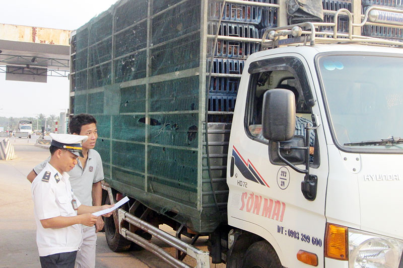 Lao đao vì dịch cúm gia cầm (tt) Lao đao vì dịch cúm gia cầm (tt)