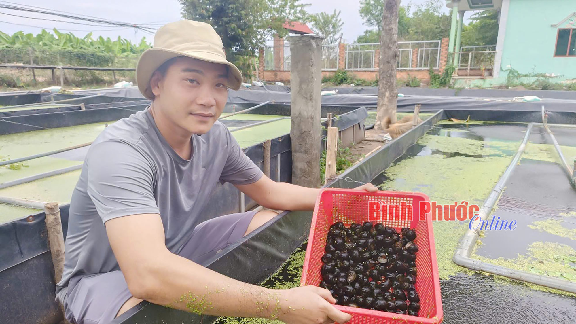 Lập nghiệp trên quê hương