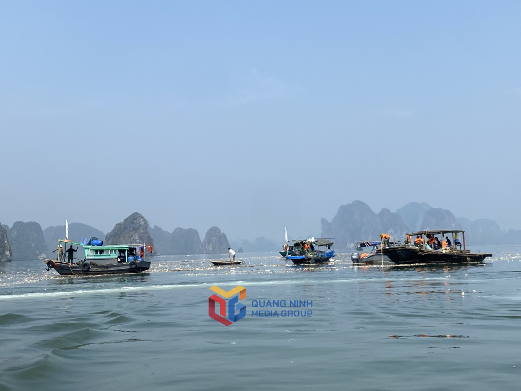 Lấy lại vẻ đẹp vốn có cho di sản Lấy lại vẻ đẹp vốn có cho di sản