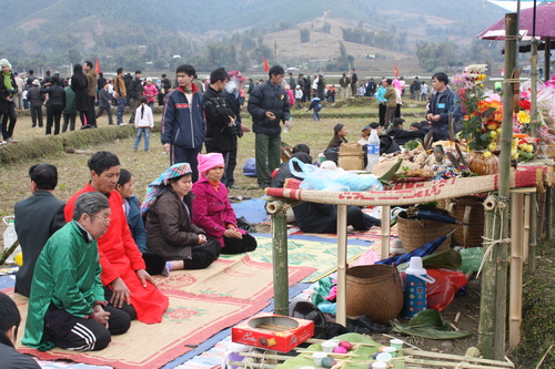 lehoilongtong.jpg