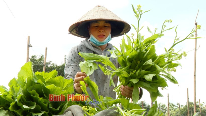 Liên kết để phát triển Liên kết để phát triển