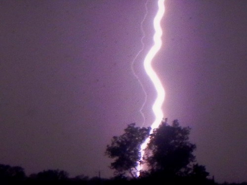lightning_lightning_bolt_tree_800w_600h.jpg