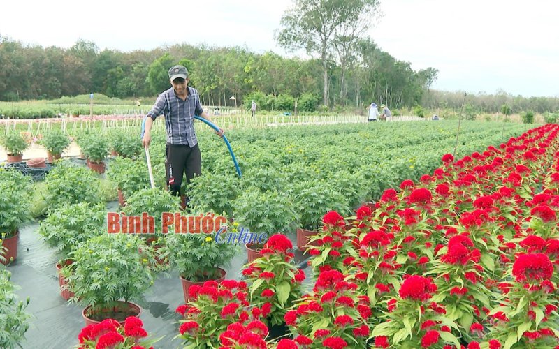 Linh động nâng cao hiệu quả sử dụng đất Linh động nâng cao hiệu quả sử dụng đất