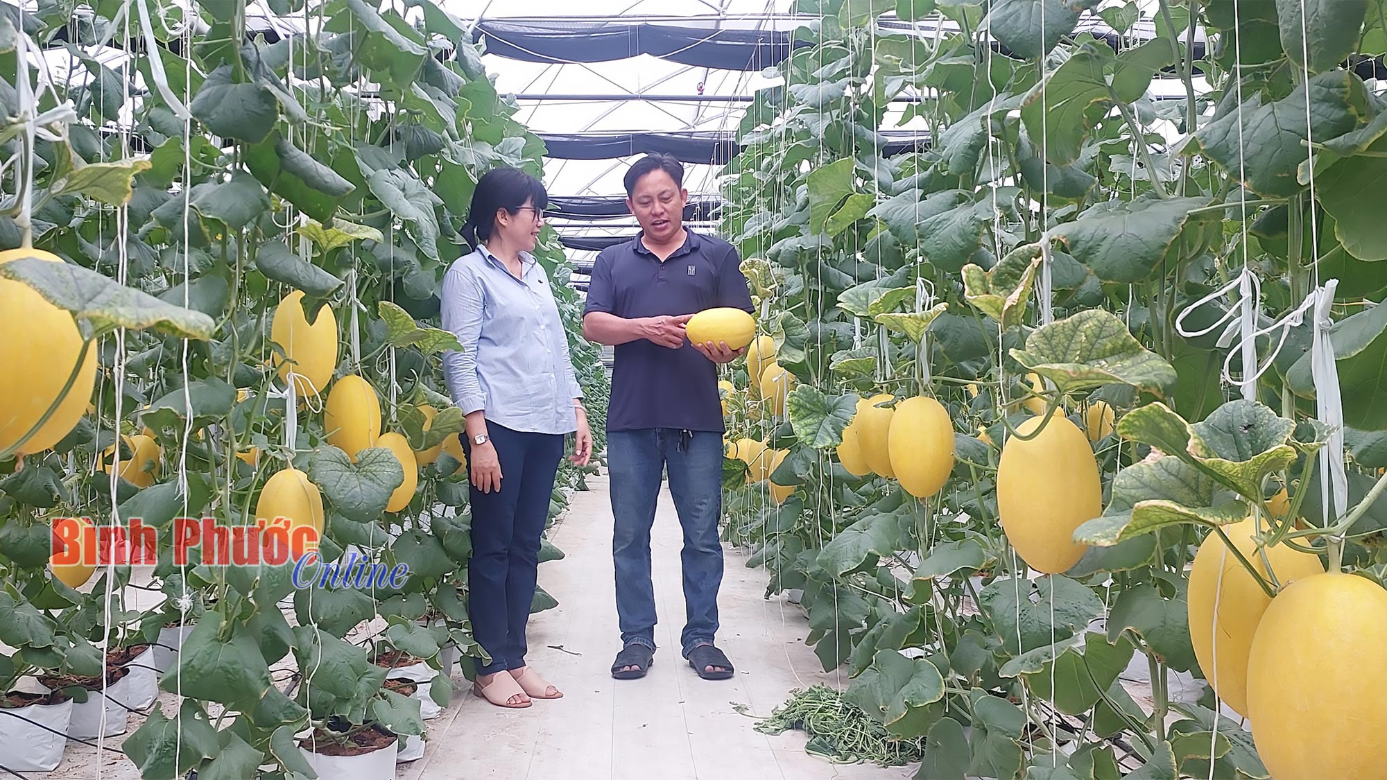 Linh hoạt trong sản xuất Linh hoạt trong sản xuất
