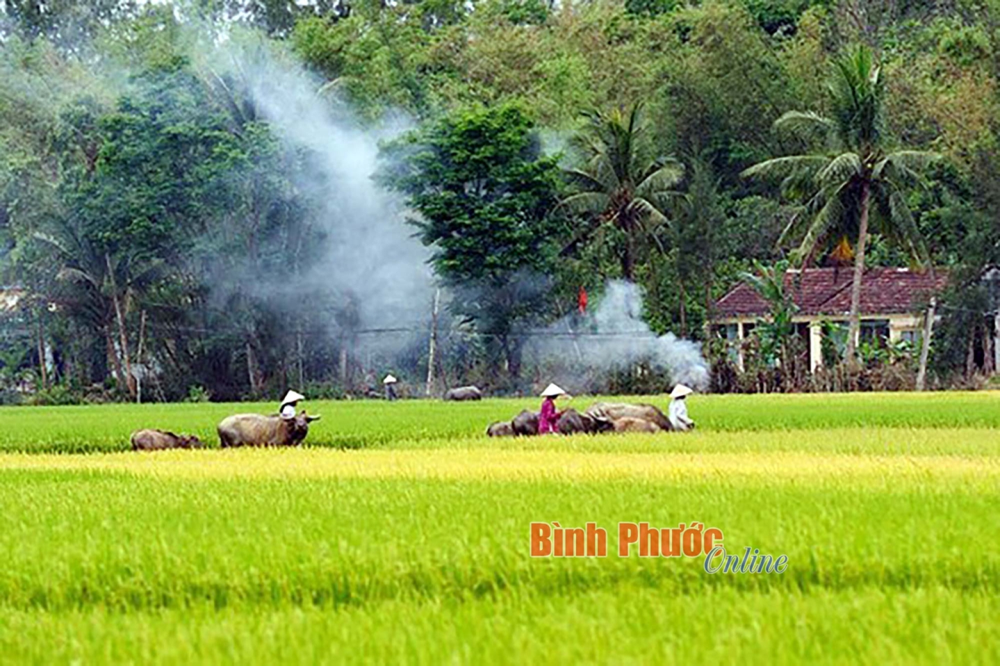 linh_tam_thien_di_123_22275223012025.jpg