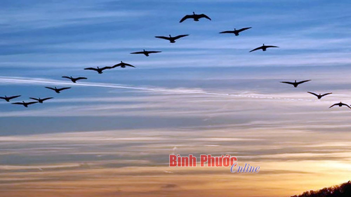 linh_tam_thien_di_1_22292823012025.jpg