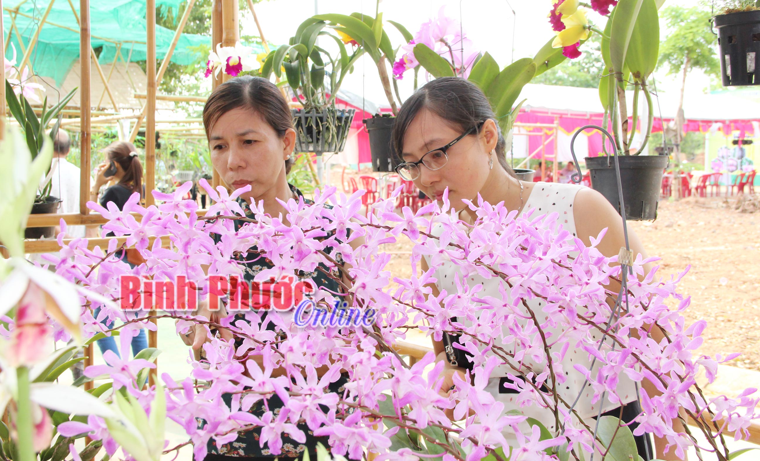 lkl21042018080445.jpg