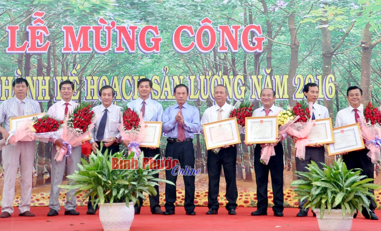 Cao su Phú Riềng khai thác mủ về trước kế hoạch 21 ngày