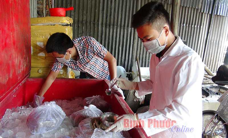 Phát hiện số lượng lớn chả cá, cá viên không đủ điều kiện vệ sinh Phát hiện số lượng lớn chả cá, cá viên không đủ điều kiện vệ sinh