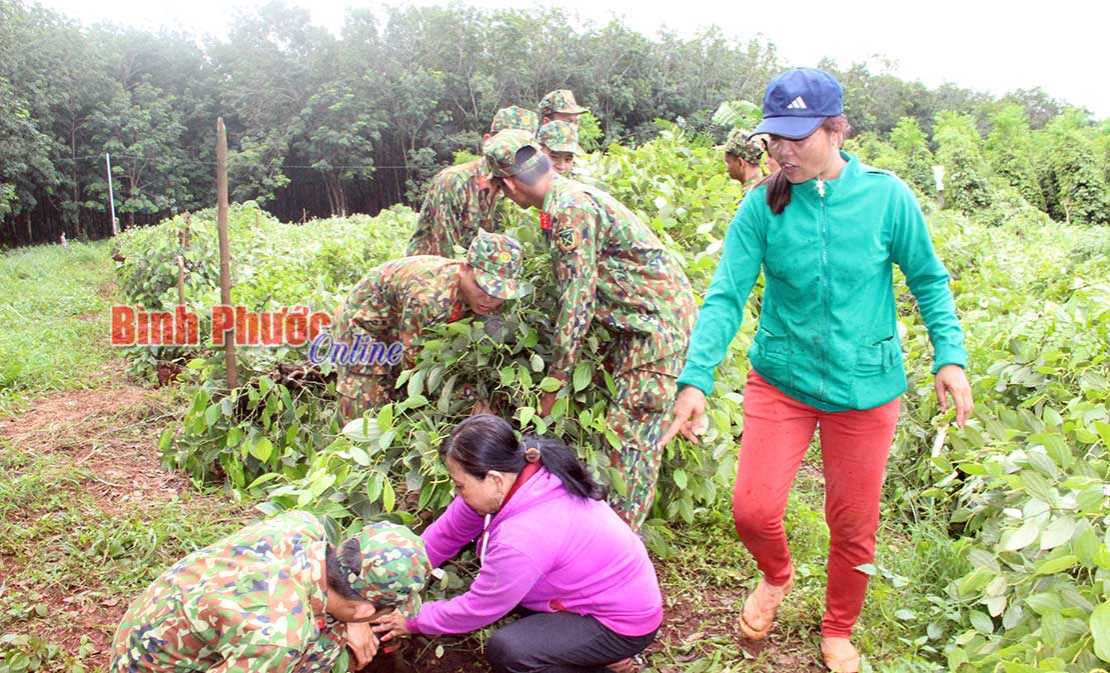 Bù Đốp: Lốc xoáy gây thiệt hại 700 triệu đồng Bù Đốp: Lốc xoáy gây thiệt hại 700 triệu đồng