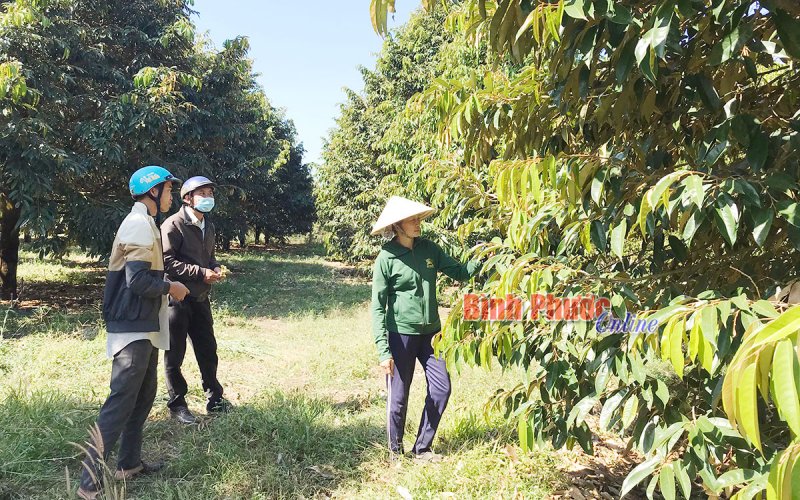 Lộc Khánh dồn lực về đích nông thôn mới Lộc Khánh dồn lực về đích nông thôn mới