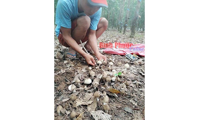 Tìm “lộc trời” Tìm “lộc trời”