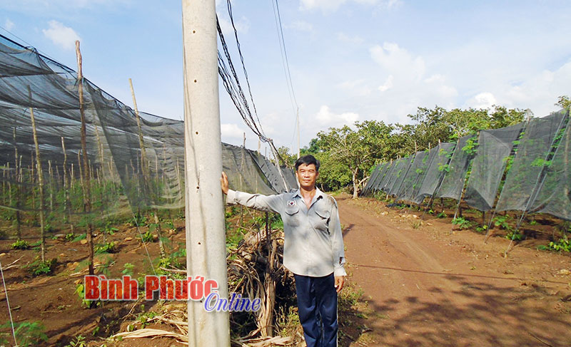 Xây dựng đời sống văn hóa ở khu dân cư Xây dựng đời sống văn hóa ở khu dân cư