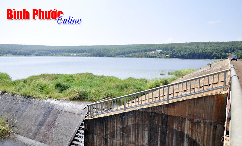 Lộc Ninh: Dự báo 981 ha cây trồng bị thiếu nước trong mùa khô 2015-2016 Lộc Ninh: Dự báo 981 ha cây trồng bị thiếu nước trong mùa khô 2015-2016