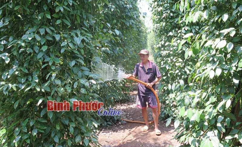 Lộc Ninh đẩy mạnh giảm nghèo bền vững