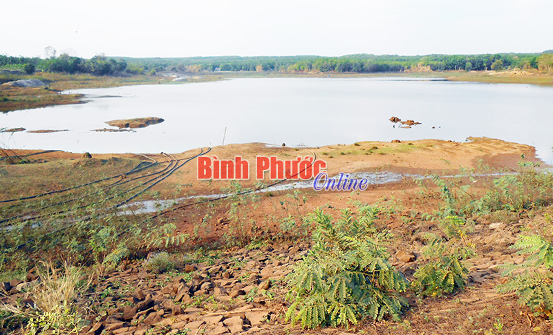 Lộc Ninh: Ước thiệt hại 295,37 tỷ đồng do hạn hán Lộc Ninh: Ước thiệt hại 295,37 tỷ đồng do hạn hán