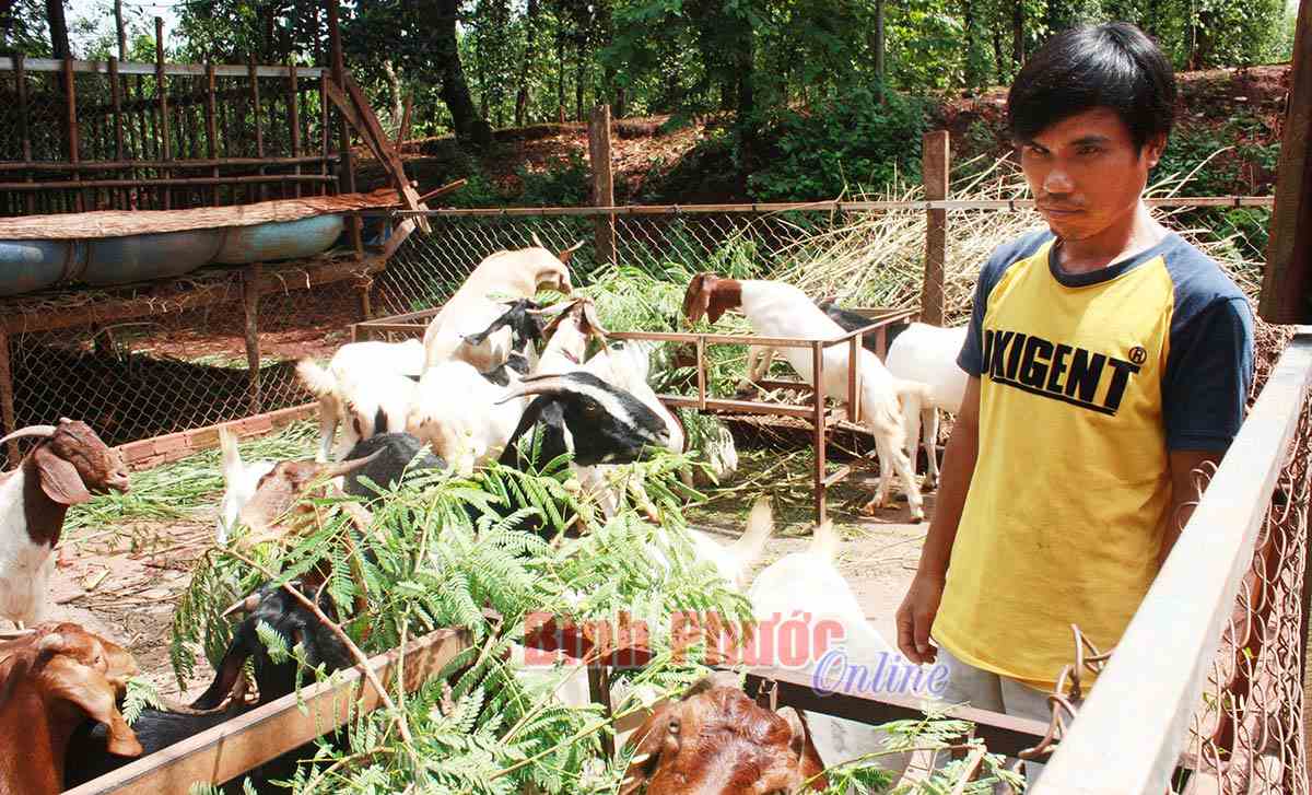 Lộc Ninh phát huy vốn vay giải quyết việc làm Lộc Ninh phát huy vốn vay giải quyết việc làm