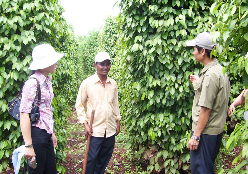 Lợi nhà nông - lợi doanh nghiệp Lợi nhà nông - lợi doanh nghiệp