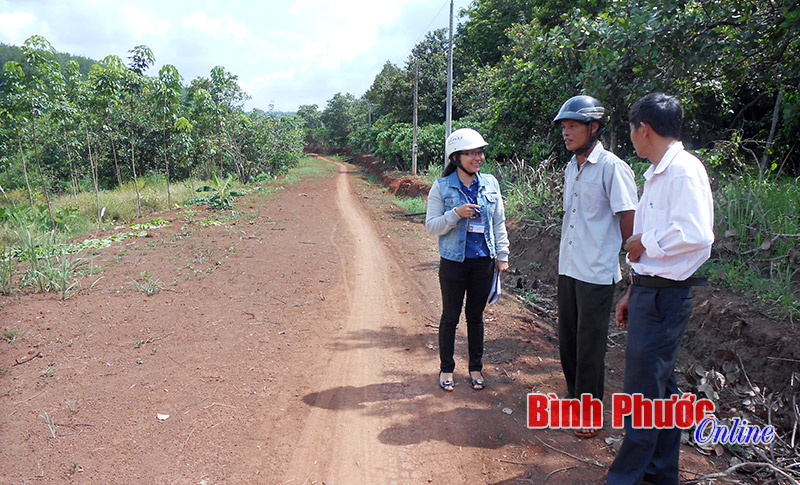 Lộc Ninh được bổ sung 530 tấn xi măng làm đường nông thôn