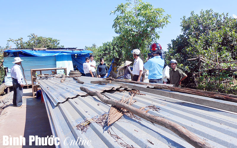 Lộc Thành sau cơn lốc Lộc Thành sau cơn lốc