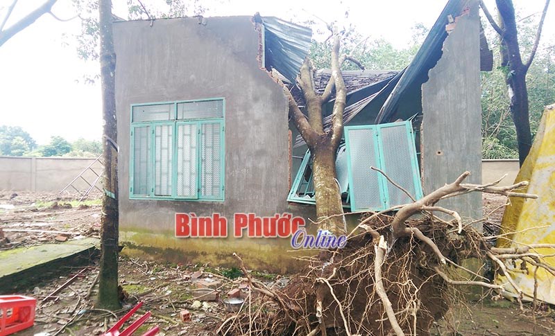 Bù Đốp tiếp tục thiệt hại nặng do lốc xoáy