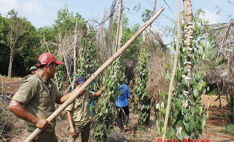 Lộc Ninh thiệt hại ước hơn 20 tỷ đồng do thiên tai Lộc Ninh thiệt hại ước hơn 20 tỷ đồng do thiên tai