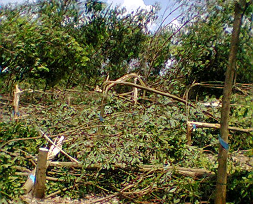 locxuay(1).jpg