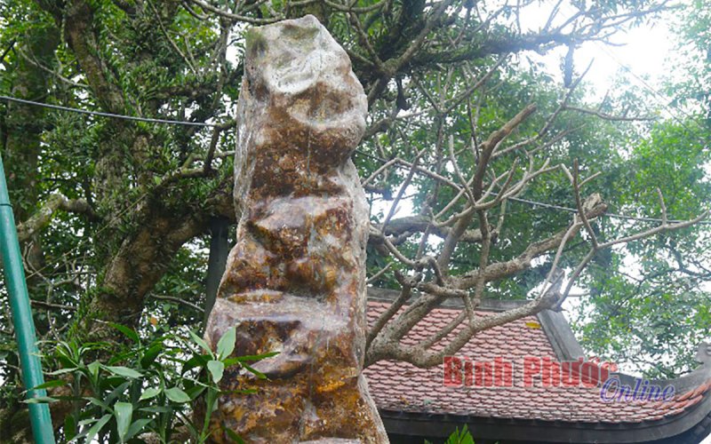 Lời thề trên đỉnh non thiêng