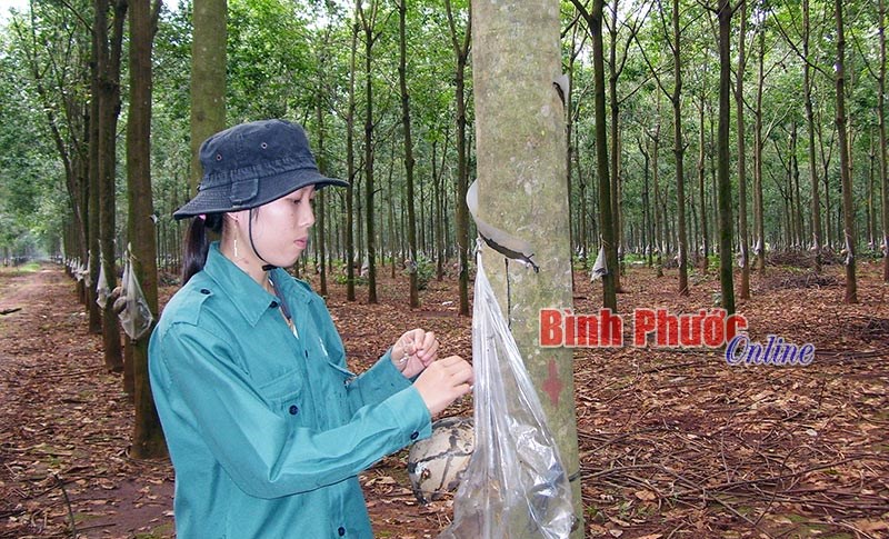 Lợi ích chuyển từ D3 sang D4... Lợi ích chuyển từ D3 sang D4...