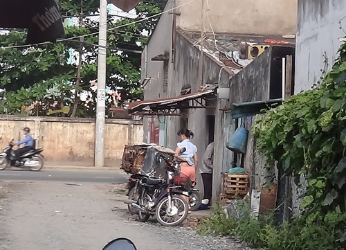 Lò mổ chó và hành trình chuộc chó
