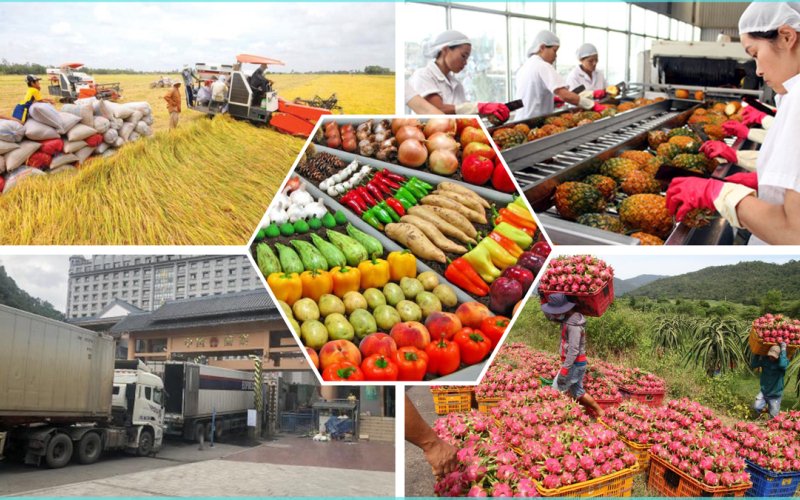 Lớn hơn đánh mất thị trường