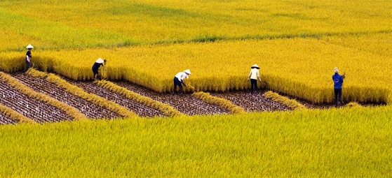 Phần lớn công trình thủy lợi hiệu quả thấp Phần lớn công trình thủy lợi hiệu quả thấp