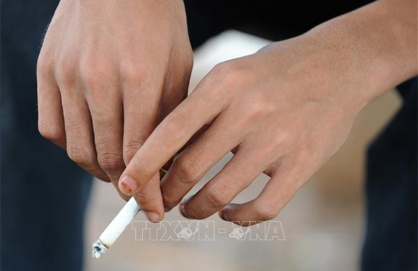 Lựa chọn phương án tăng thuế với thuốc lá