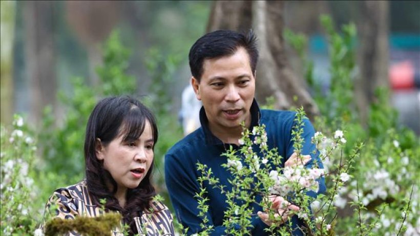 Lựa đào, sắm quất, mang Xuân về nhà