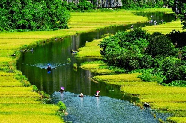 luaninhbinh327052019031908.jpg