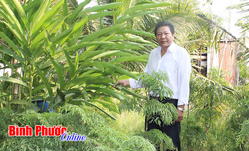 Lương y của người nghèo
