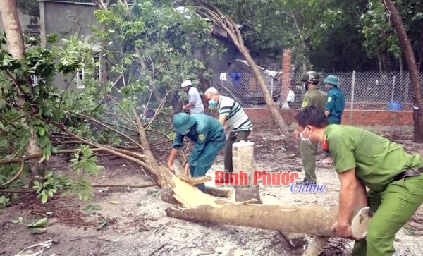 Minh Thắng: Lốc xoáy gây thiệt hại nặng Minh Thắng: Lốc xoáy gây thiệt hại nặng