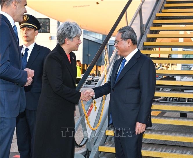 ly_cuong_15624c_21201815062024.jpg
