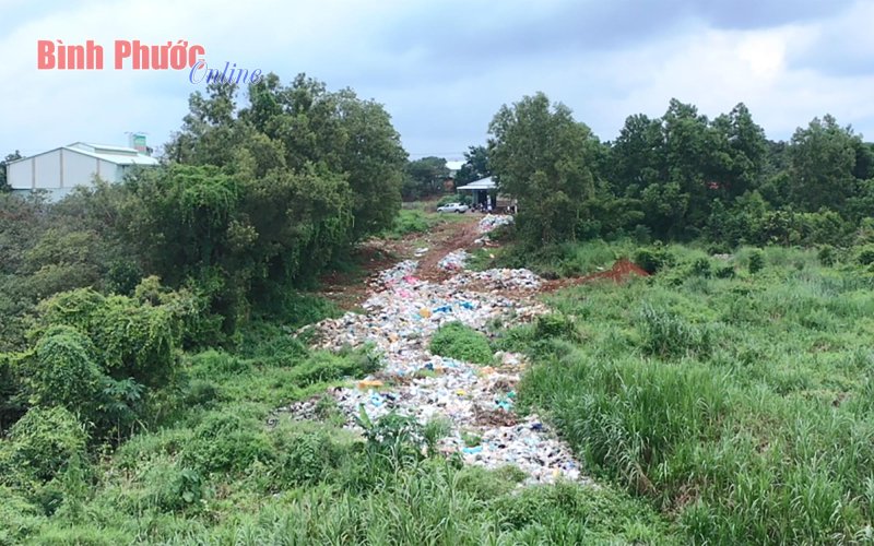 “Ma trận” rác sinh hoạt