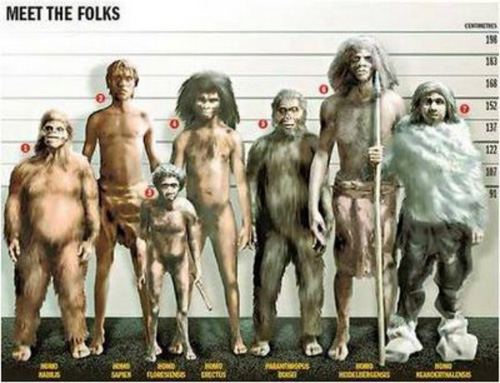 Sự trả thù dai dẳng của người Neanderthal Sự trả thù dai dẳng của người Neanderthal