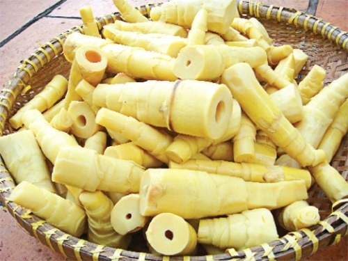 mangtuoic1.jpg