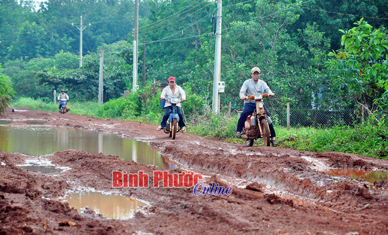 Mặt đường biến thành… “ao”