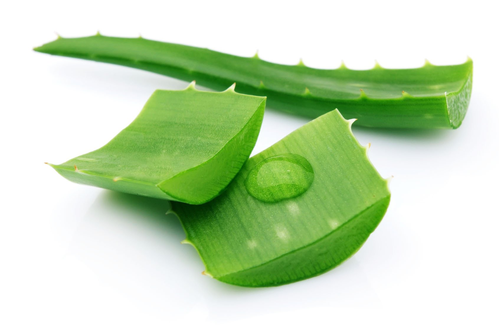 Nha đam - giải pháp cho ung thư giai đoạn cuối