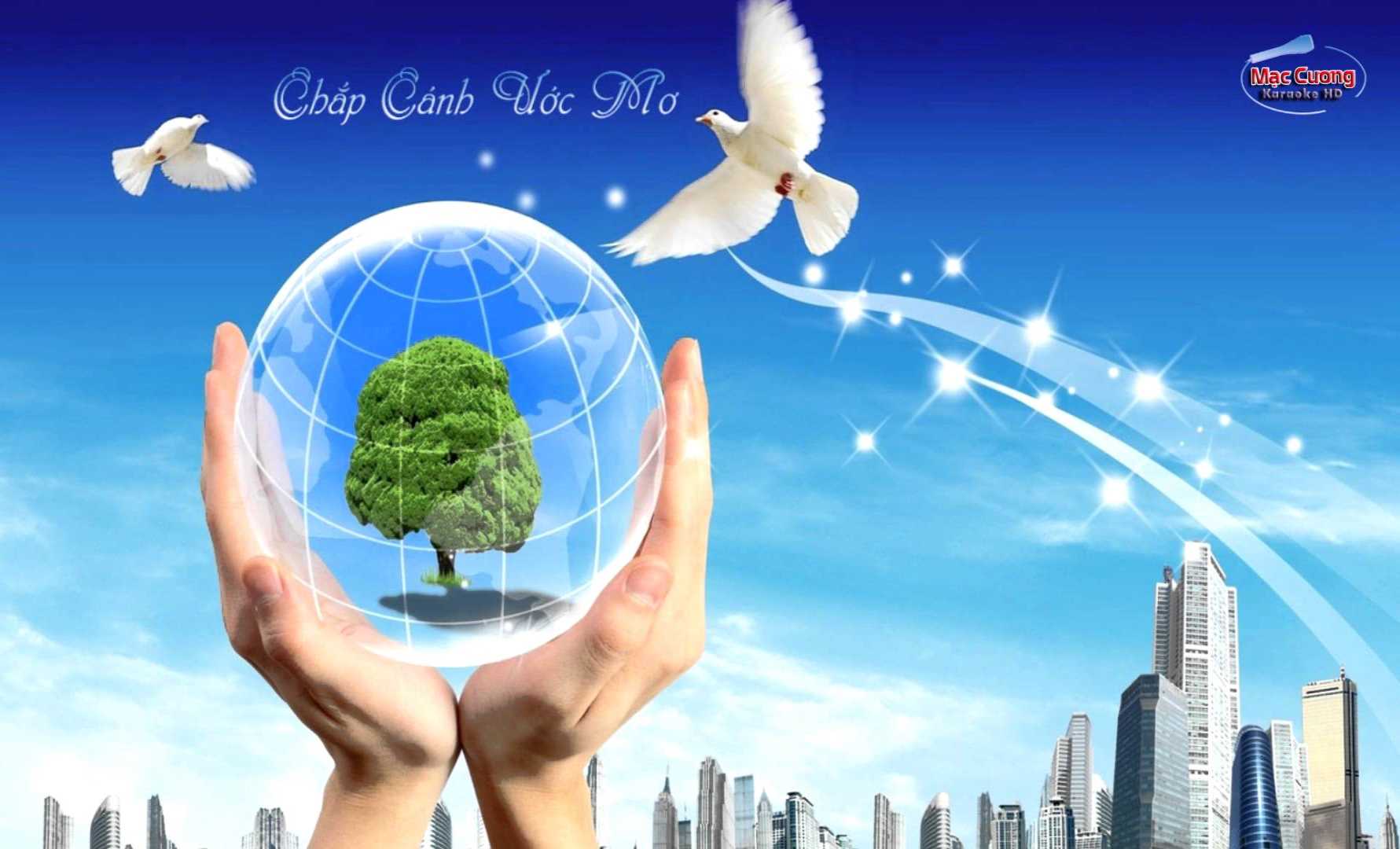 Khởi động chương trình kỹ năng “Chắp cánh ước mơ” Khởi động chương trình kỹ năng “Chắp cánh ước mơ”