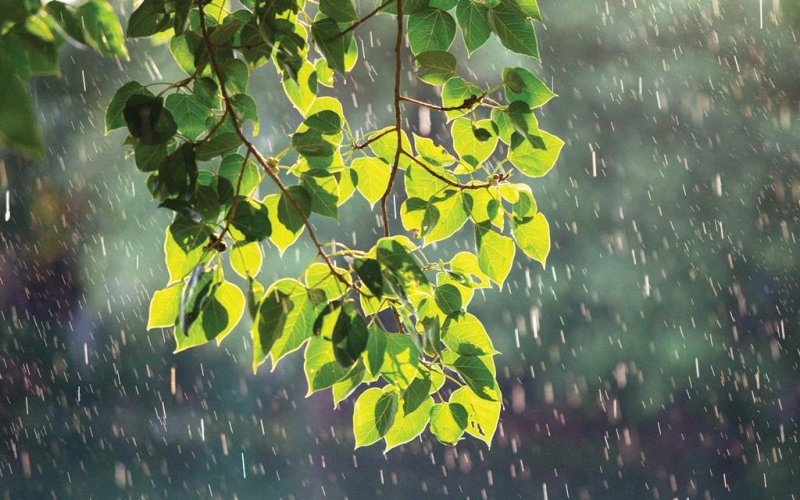 Mấy đời bánh đúc có xương…