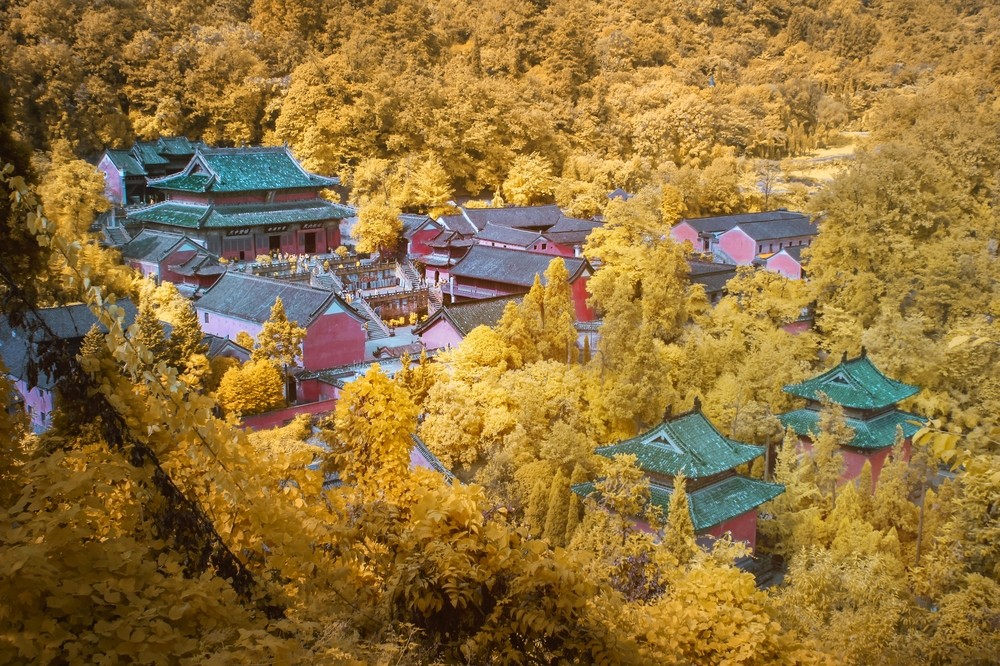 maymoche217092015100652.jpg