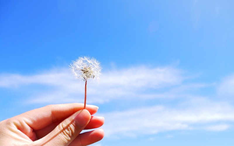 Mẹ là bầu trời của con!